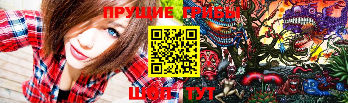 Галлюциногенные грибы Cubensis Великий Новгород
